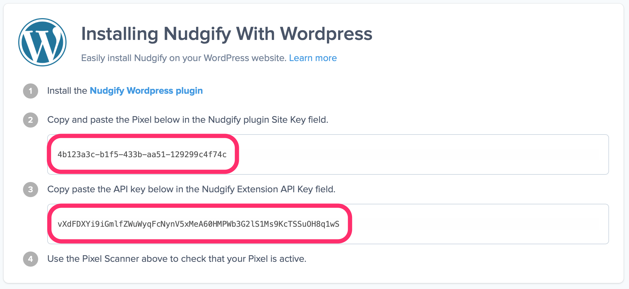 nudgify pixel for wordpress