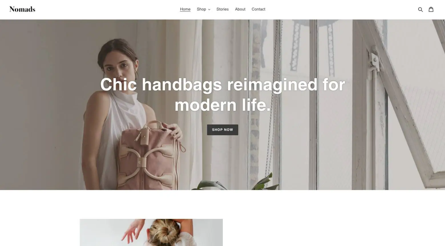 debut shopify theme screenshot